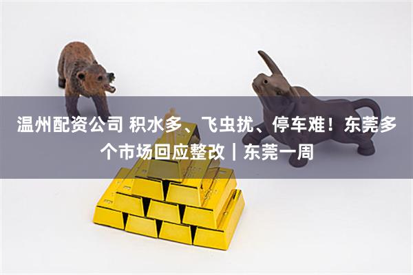 温州配资公司 积水多、飞虫扰、停车难！东莞多个市场回应整改｜东莞一周